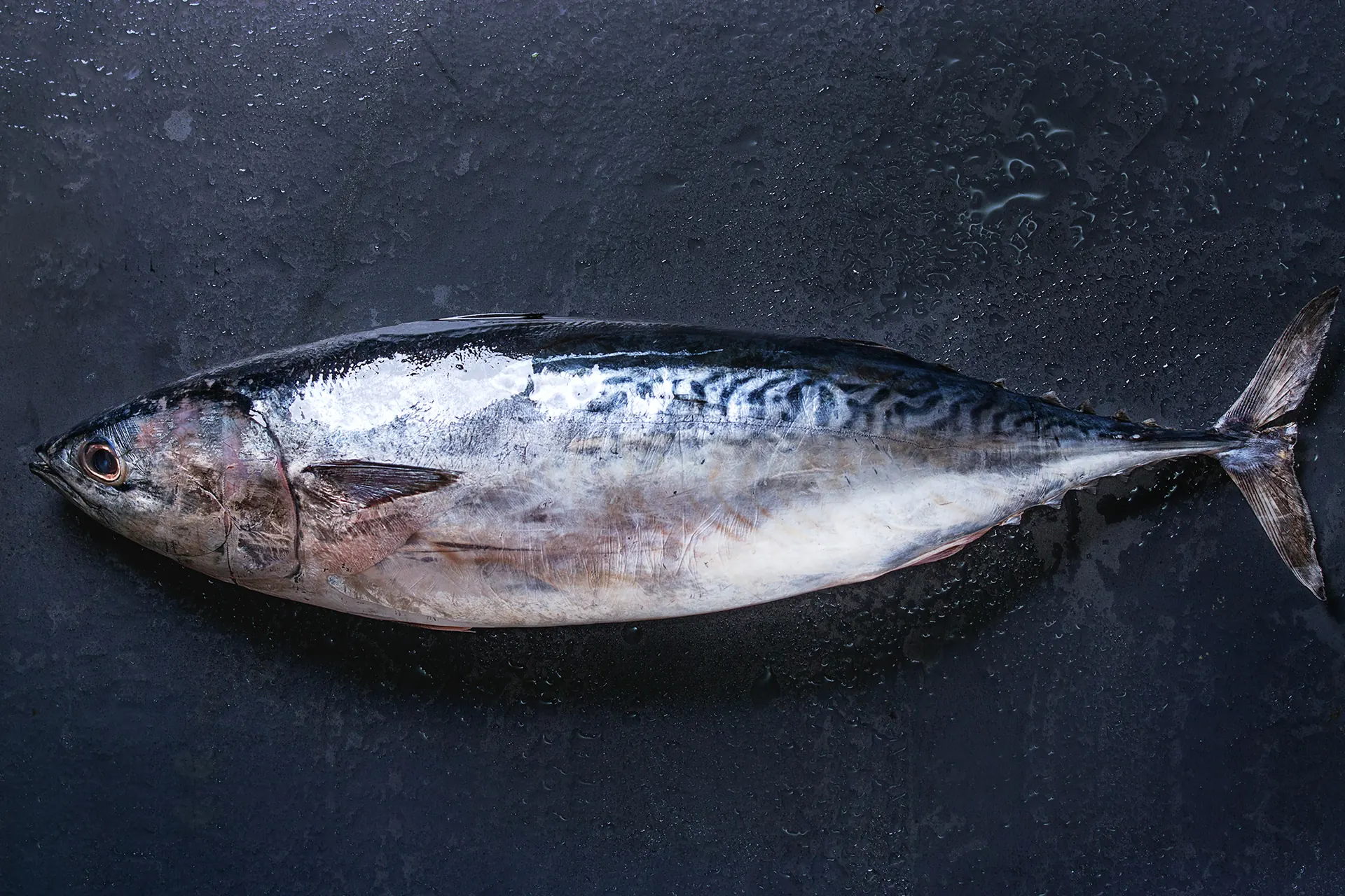 Fresh whole fish on a dark slate